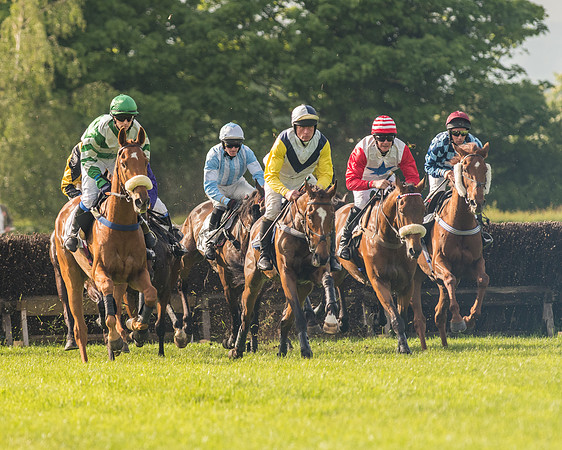 Race 6 - Open Maiden Race (103 of 180).jpg