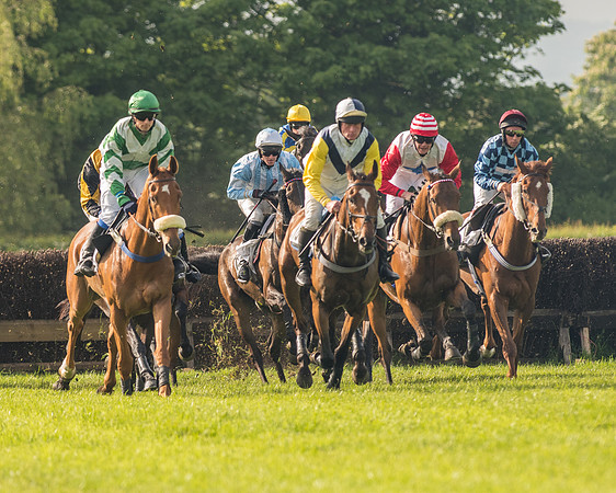 Race 6 - Open Maiden Race (104 of 180).jpg