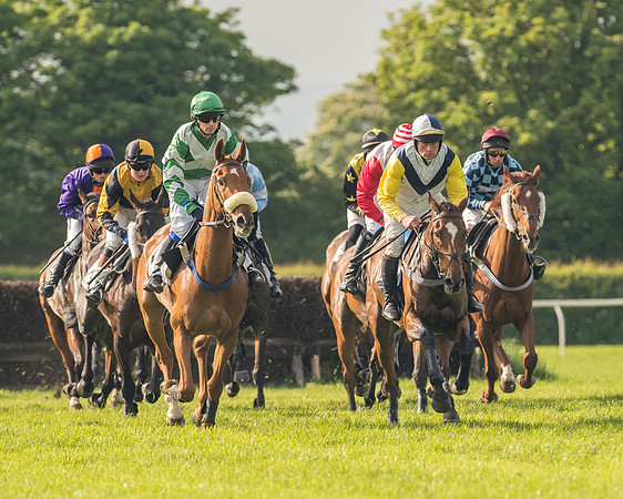 Race 6 - Open Maiden Race (105 of 180).jpg