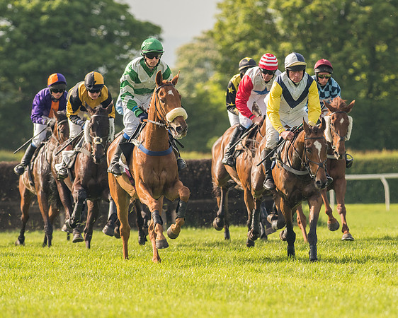 Race 6 - Open Maiden Race (106 of 180).jpg