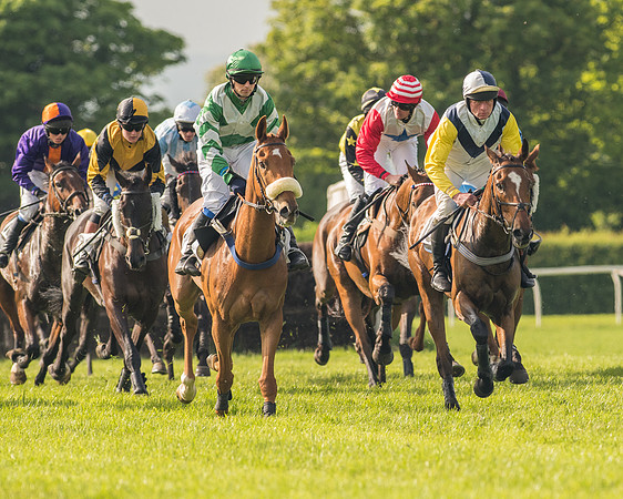 Race 6 - Open Maiden Race (107 of 180).jpg