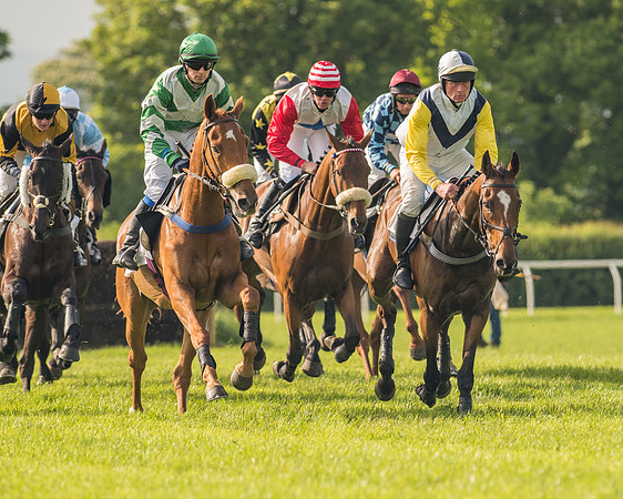 Race 6 - Open Maiden Race (108 of 180).jpg
