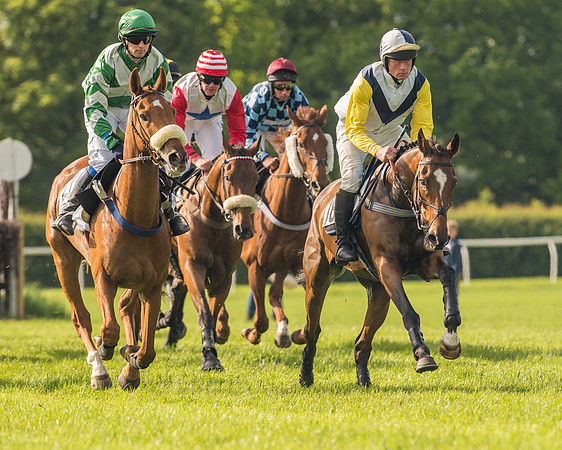 Race 6 - Open Maiden Race (109 of 180).jpg