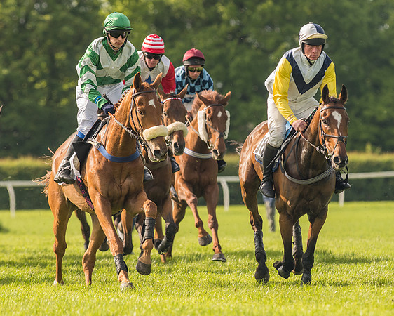 Race 6 - Open Maiden Race (110 of 180).jpg