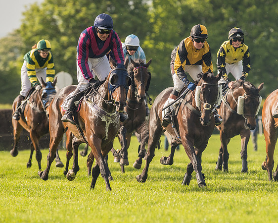 Race 6 - Open Maiden Race (111 of 180).jpg