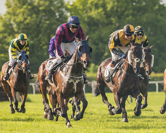 Race 6 - Open Maiden Race (112 of 180).jpg