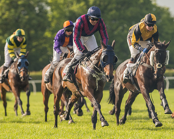 Race 6 - Open Maiden Race (113 of 180).jpg