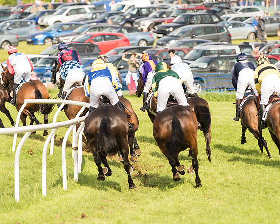 Race 6 - Open Maiden Race (114 of 180).jpg