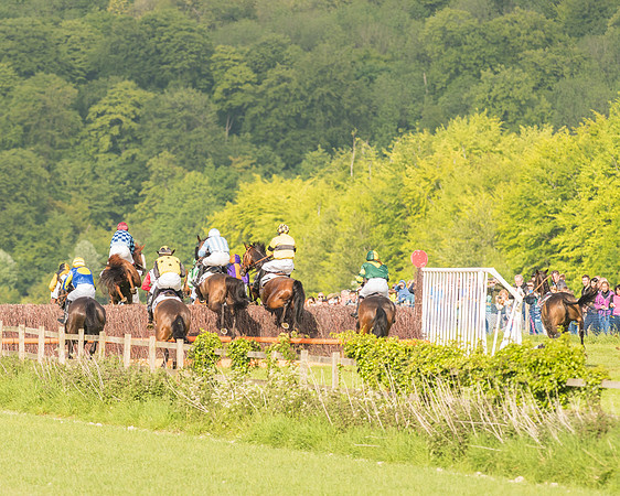 Race 6 - Open Maiden Race (115 of 180).jpg