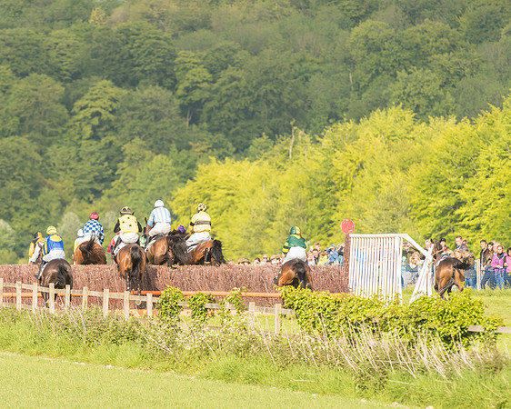 Race 6 - Open Maiden Race (116 of 180).jpg