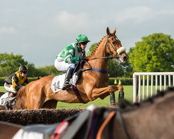 Race 6 - Open Maiden Race (117 of 180).jpg
