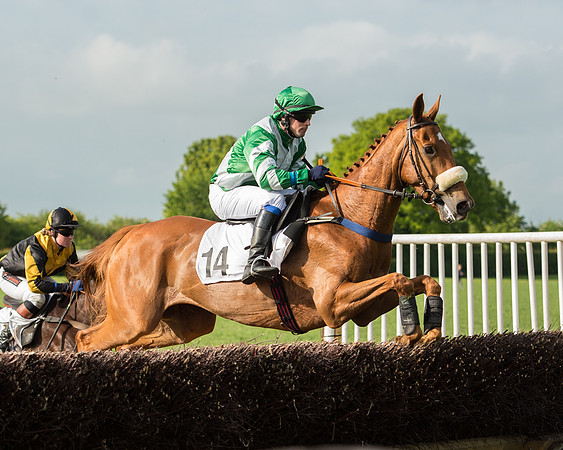 Race 6 - Open Maiden Race (118 of 180).jpg