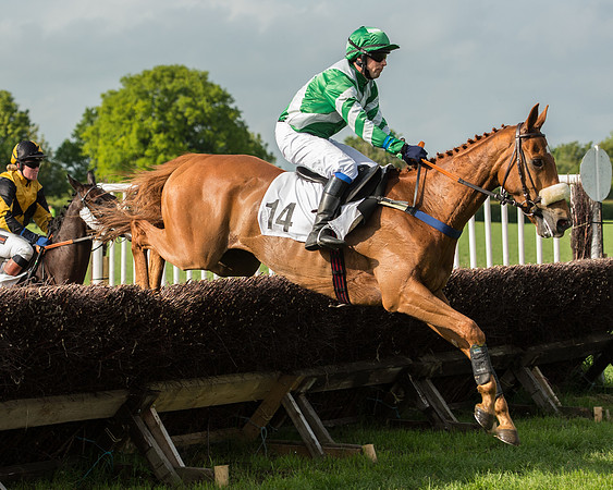 Race 6 - Open Maiden Race (119 of 180).jpg