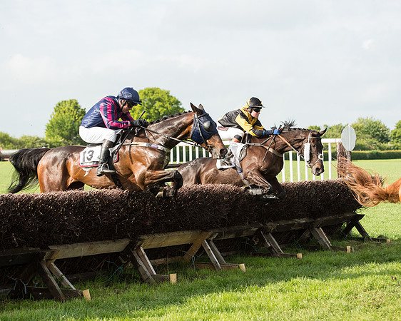 Race 6 - Open Maiden Race (120 of 180).jpg