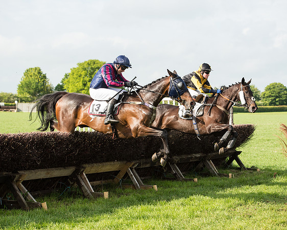 Race 6 - Open Maiden Race (121 of 180).jpg
