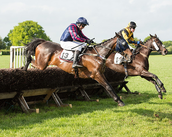 Race 6 - Open Maiden Race (122 of 180).jpg