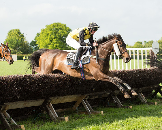 Race 6 - Open Maiden Race (123 of 180).jpg