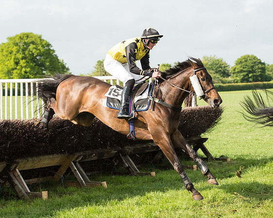 Race 6 - Open Maiden Race (124 of 180).jpg