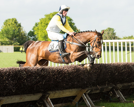 Race 6 - Open Maiden Race (125 of 180).jpg