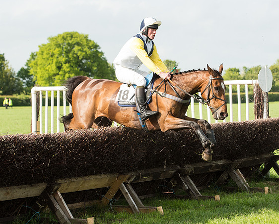 Race 6 - Open Maiden Race (126 of 180).jpg