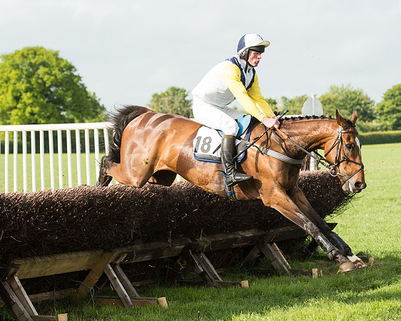 Race 6 - Open Maiden Race (127 of 180).jpg