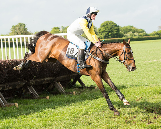 Race 6 - Open Maiden Race (128 of 180).jpg
