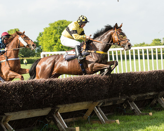 Race 6 - Open Maiden Race (129 of 180).jpg