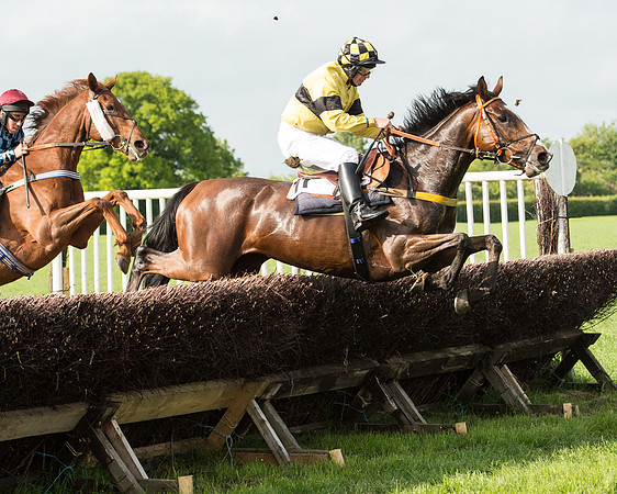 Race 6 - Open Maiden Race (130 of 180).jpg