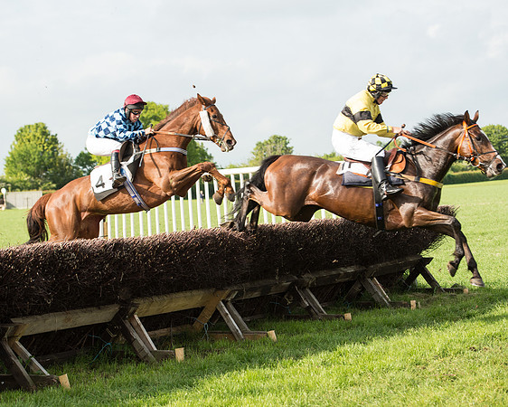 Race 6 - Open Maiden Race (131 of 180).jpg