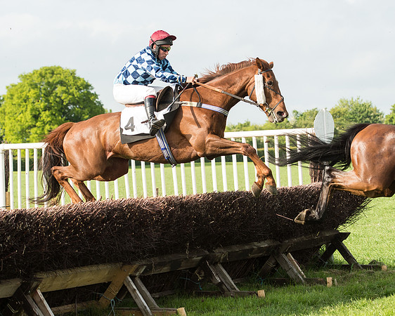 Race 6 - Open Maiden Race (132 of 180).jpg