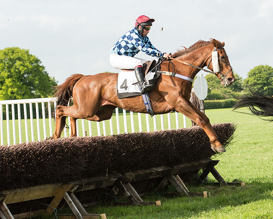 Race 6 - Open Maiden Race (133 of 180).jpg
