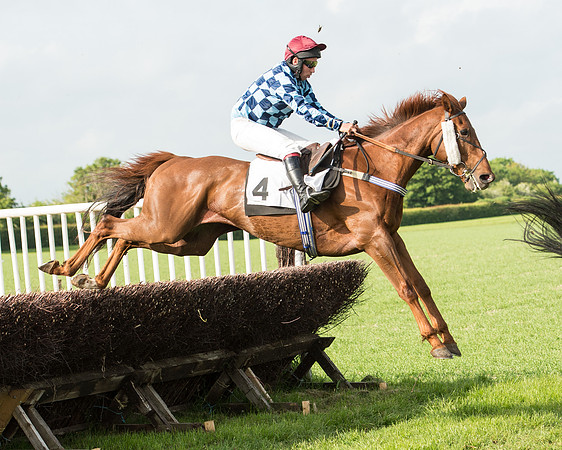 Race 6 - Open Maiden Race (134 of 180).jpg