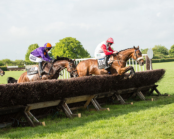 Race 6 - Open Maiden Race (135 of 180).jpg