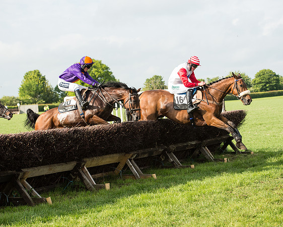 Race 6 - Open Maiden Race (136 of 180).jpg