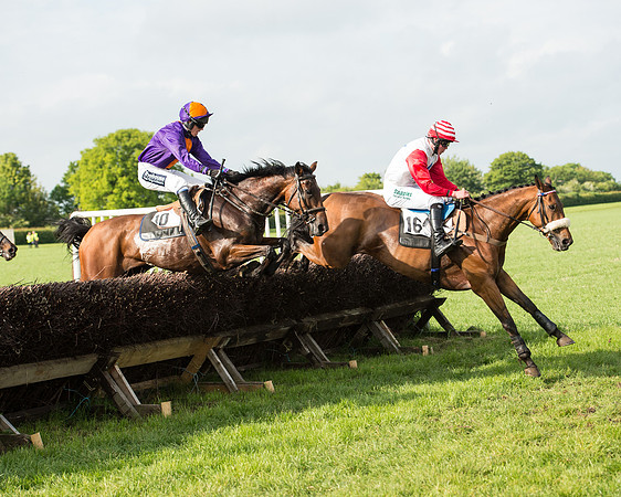 Race 6 - Open Maiden Race (137 of 180).jpg