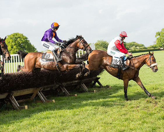 Race 6 - Open Maiden Race (138 of 180).jpg
