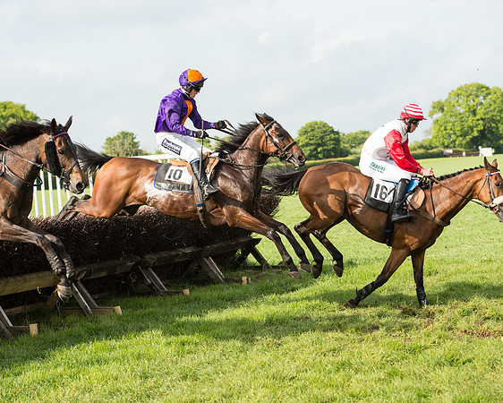 Race 6 - Open Maiden Race (139 of 180).jpg