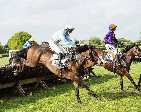 Race 6 - Open Maiden Race (140 of 180).jpg