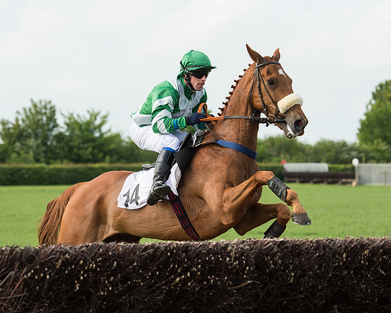 Race 6 - Open Maiden Race (141 of 180).jpg