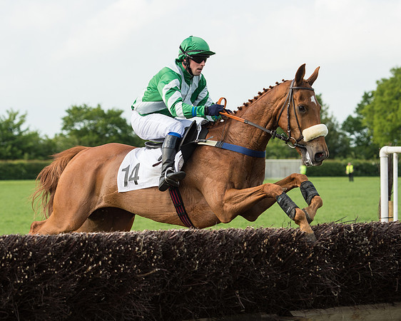Race 6 - Open Maiden Race (142 of 180).jpg