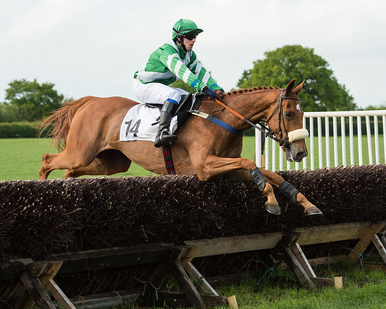 Race 6 - Open Maiden Race (143 of 180).jpg