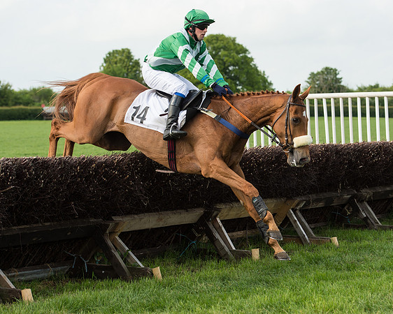 Race 6 - Open Maiden Race (144 of 180).jpg