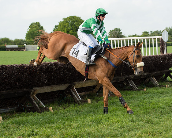 Race 6 - Open Maiden Race (145 of 180).jpg