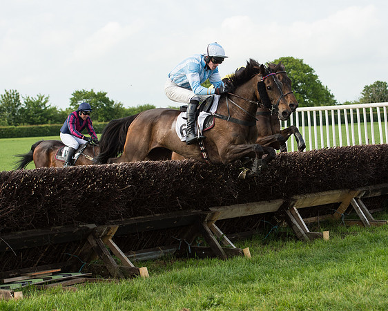 Race 6 - Open Maiden Race (148 of 180).jpg