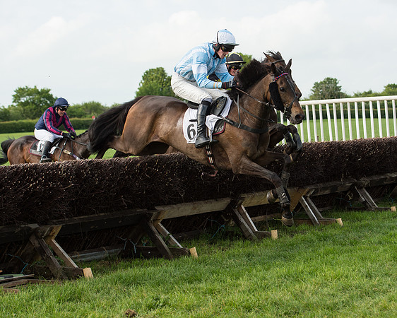 Race 6 - Open Maiden Race (149 of 180).jpg
