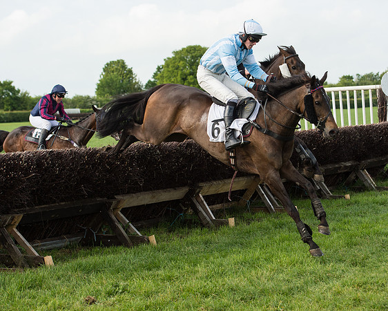 Race 6 - Open Maiden Race (150 of 180).jpg
