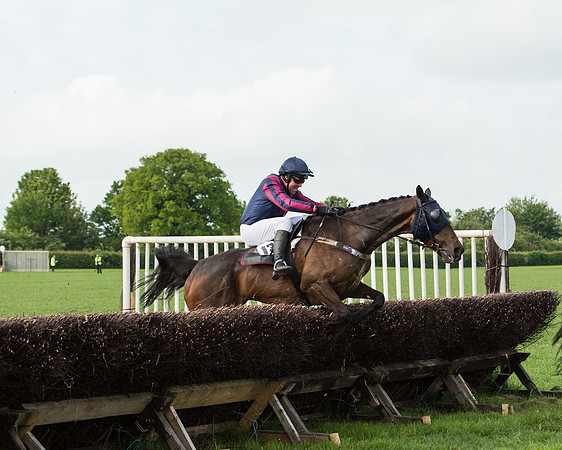 Race 6 - Open Maiden Race (151 of 180).jpg