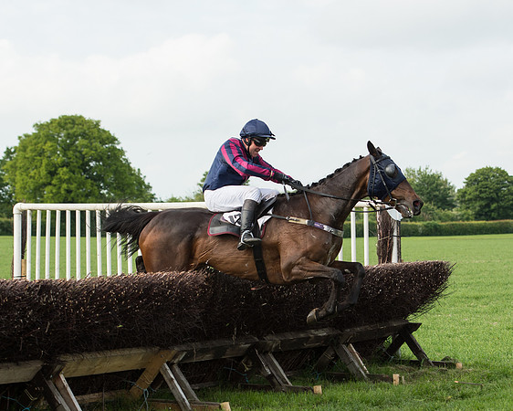 Race 6 - Open Maiden Race (152 of 180).jpg