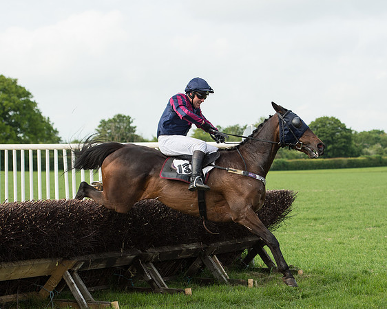 Race 6 - Open Maiden Race (153 of 180).jpg