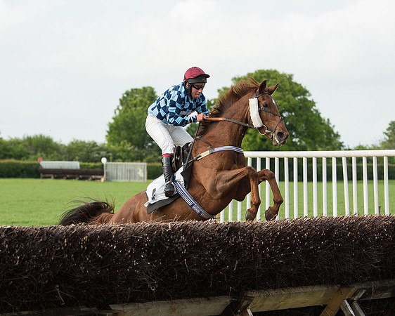 Race 6 - Open Maiden Race (154 of 180).jpg